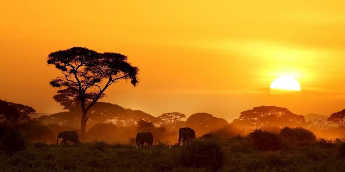 Le secret caché de l’AFRIQUE en moins de dix minutes