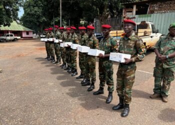 RCA : les Forces de Défense et de Sécurité (FDS) dotées en drones de surveillance par les instructeurs russes