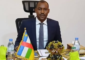 RCA : rencontre stratégique entre le ministre de l’élevage et de la santé animale Hassane Bouba et des agences onusiennes