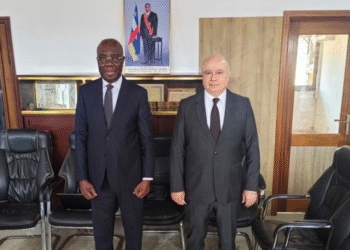 La fédération de Russie et la République Centrafricaine renforcent leurs liens dans les domaines des technologies numériques et des télécommunications