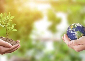 RCA : le monde célèbre ce jour la journée internationale de l’environnement