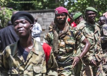 RCA : la Synergie Centrafricaine saisit l’ambassade de France au sujet des actions déstabilisatrices d’Armel Sayo et ses complices français