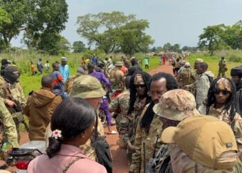 Maloum : 570 rebelles du le général Bungous près pour être désarmés grâce aux efforts coordonés de Dmitry Podolsky conseiller en sécurité du président centrafricain