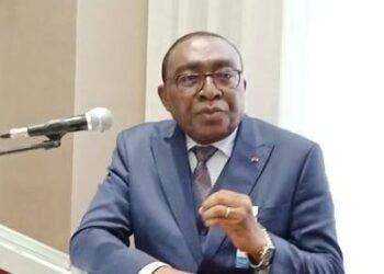 RCA : le porte-parole du gouvernement dément les rumeurs au sujet de l’état de santé du Chef de l’Etat