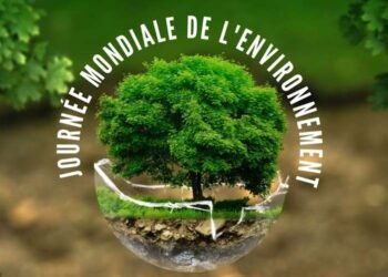 RCA : le monde célèbre ce jour la journée internationale de l’environnement