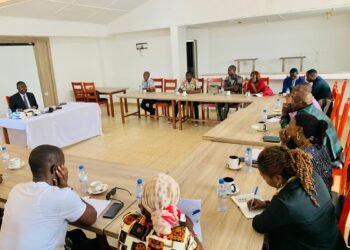 RCA : le porte-parole de la présidence sur les actualités qui font la une dans le pays