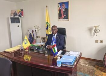 Renforcement des liens parlementaires entre la RCA et la fédération de Russie lors d&rsquo;une visioconférence