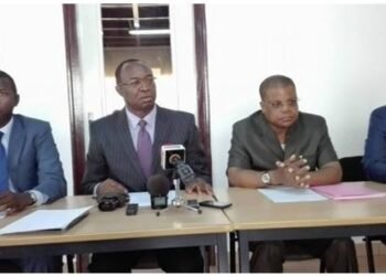 RCA : l’Association Sewa Ti Benz-Vi monte au créneau contre le BRDC