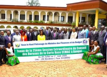 Lancement de la 25e session extraordinaire du Conseil des Bureaux de la Carte Rose CEMAC à Bangui