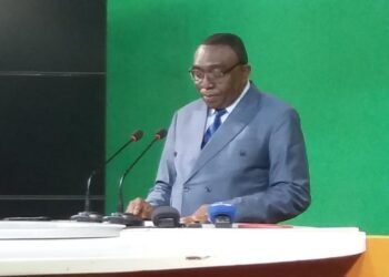 RCA : Le gouvernement se félicite des avancées du processus de DDRR