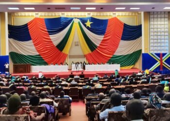 RCA : Adoption avec amendement de la loi portant dérogation de la loi organique de l’ANE