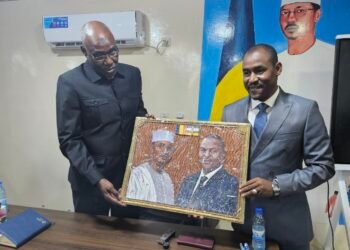 Vers un partenariat innovant dans le secteur de l’élevage entre la RCA et le Tchad grâce au leadership du président Touadéra