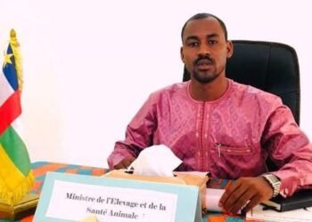 RCA : La question de la transhumance au cœur des préoccupations du ministre de l’Élevage et de la Santé animale et des partenaires techniques et financiers.