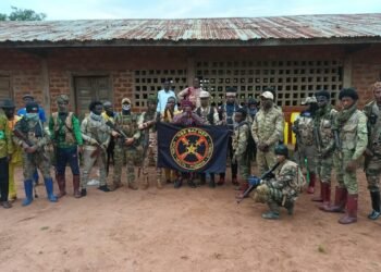 RCA : Les instructeurs militaires russes sont des véritables garants de la sécurité en République Centrafricaine