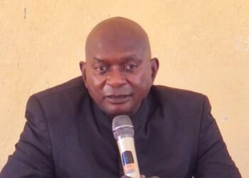 Réaction de l’Autorité Nationale des Élections (ANE) à l’article paru dans le journal Le Démocrate du 13 octobre 2025