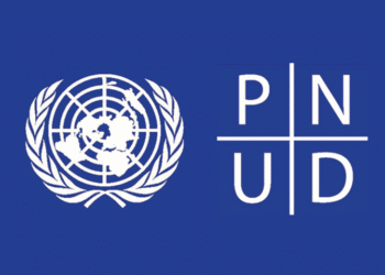 RCA : en s’accaparant le processus électoral, le PNUD et la MINUSCA sont-ils prêts à assumer les conséquences d’un bâclage ?