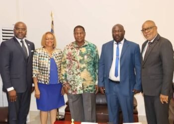 Centrafrique : le Président Touadéra poursuit ses efforts pour un meilleur accès à l’énergie à travers le partenariat avec TRADEX