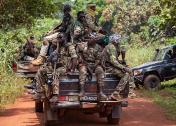 RCA :  des bandits armés neutralisés par les FACA et leurs alliés russes dans la Haute-Kotto