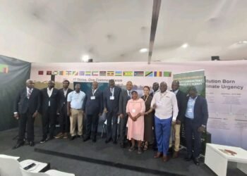 COP30 à Belém : La République Centrafricaine s&rsquo;engage pour le climat