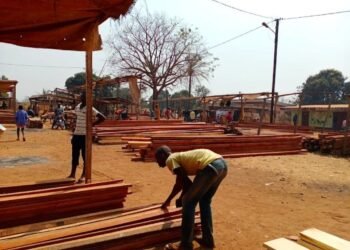 Centrafrique : mévente du bois de planche sur les marchés de Bangui en raison d’une forte abondance
