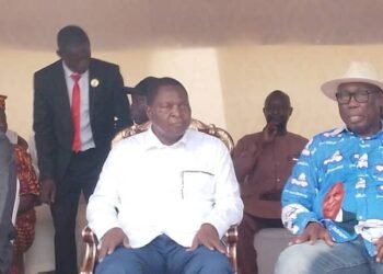 RCA : le Président Touadera procède à la validation des associations et comités de soutien de Bégoua