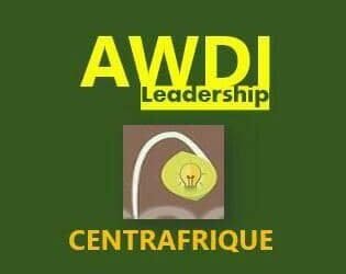 L&rsquo;ONG Awdi Leadership de Centrafrique salue le bon déroulement des élections
