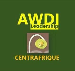L’ONG Awdi Leadership de Centrafrique salue le bon déroulement des élections