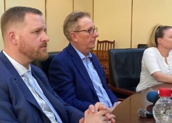 RCA : la mission d’observation des experts européens estime que les élections groupées du 28 décembre se sont globalement bien déroulées