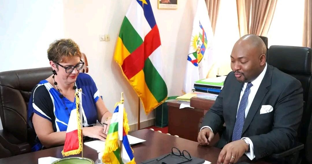 Aide financière, levier d&rsquo;influence et la stratégie française en RCA à la veille des élections