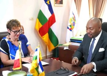 Aide financière, levier d&rsquo;influence et la stratégie française en RCA à la veille des élections