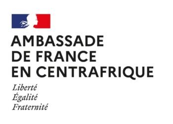 RCA : L&rsquo;UPDPRCA s&rsquo;élève contre les initiatives de l&rsquo;ambassade de France à Bangui
