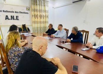 Prêts pour les élections en RCA : l&rsquo;ANE et les observateurs de l&rsquo;UE ont confirmé le haut niveau d&rsquo;organisation