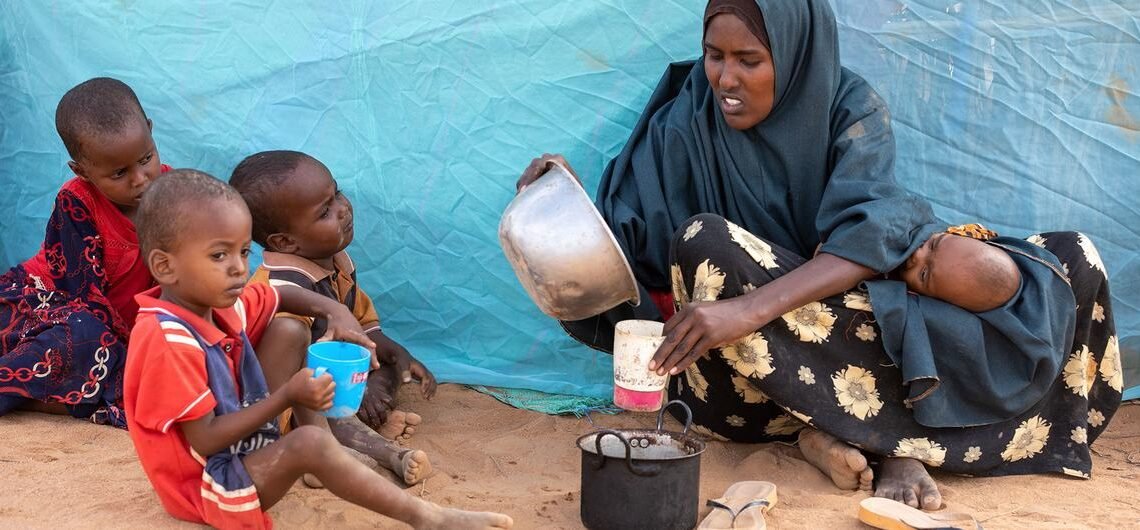 Crise alimentaire en Afrique : du Kenya à la Centrafrique, la faim progresse sur fond de conflits et de fragilité économique