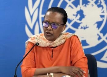 RCA : la MINUSCA salue le bon déroulement des élections du 28 décembre