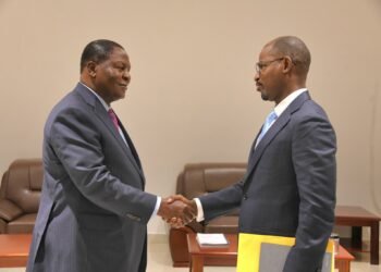 Centrafrique : le Président Touadéra reçoit le Représentant résident du FMI en RCA 