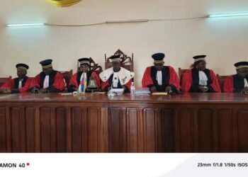 Centrafrique :Le Conseil constitutionnel examine les recours contre les résultats de l&rsquo;élection présidentielle