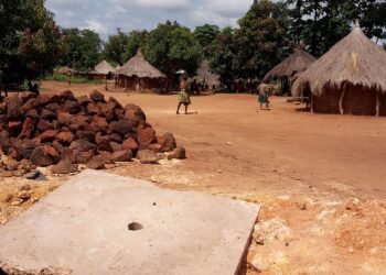 RCA : le gouvernement déterminé à ramener la paix dans le Haut-Mbomou