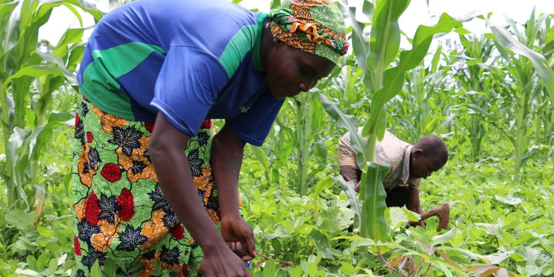 Le sous-Préfet de Mbrès tient une réunion avec les cultivateurs et éleveurs sur le respect des des couloirs de transhumance