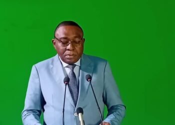 Le gouvernement salue la relation diplomatique entre la RCA et les pays de la CEMAC