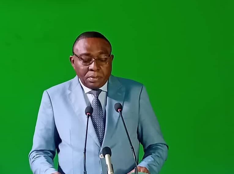 Le gouvernement salue la relation diplomatique entre la RCA et les pays de la CEMAC