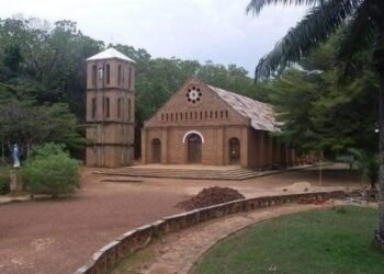 Centrafrique : Les ravages des feux de brousse à Alindao