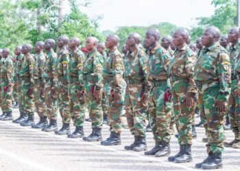 RCA : la montée en puissance des FACA confirmée sur le terrain par leurs actions quotidiennes