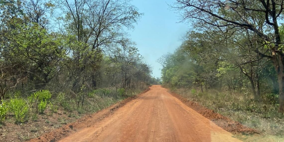 RCA : Réhabilitation de l&rsquo;axe Bambari-Ippy par les instructeurs russes