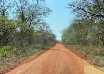 RCA : Réhabilitation de l&rsquo;axe Bambari-Ippy par les instructeurs russes