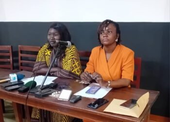Centrafrique : Le CNAC lance officiellement la 1ère édition du Festival International pour la Promotion de l’Environnement en Centrafrique (FIPECA) 