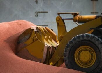 La Russie livre 100.000 tonnes d&rsquo;engrais russes à l&rsquo;Afrique