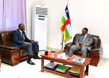 RCA : Le Président TOUADÉRA reçoit le nouveau représentant de la BAD en Centrafrique