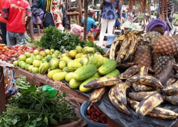 RCA: les ménages centrafricains entre adaptation et résignation face à la cherté de vie