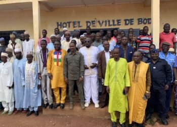 Quand la loyauté du ministre Hassane Bouba Ali dérange les détracteurs du président Touadéra