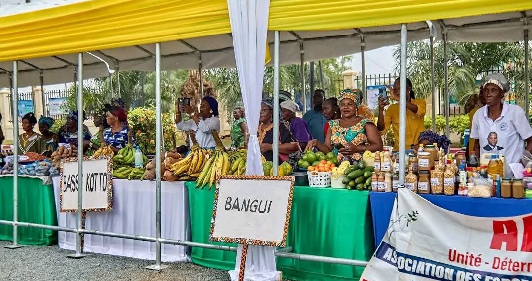 La Centrafrique accueille la 3ᵉ Édition du SANEF avec un engagement pour l&rsquo;entrepreneuriat féminin